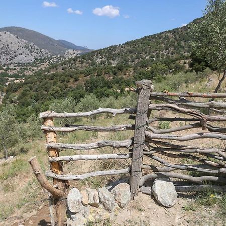 فندق Les Bergeries "Le Figuier" Omessa المظهر الخارجي الصورة