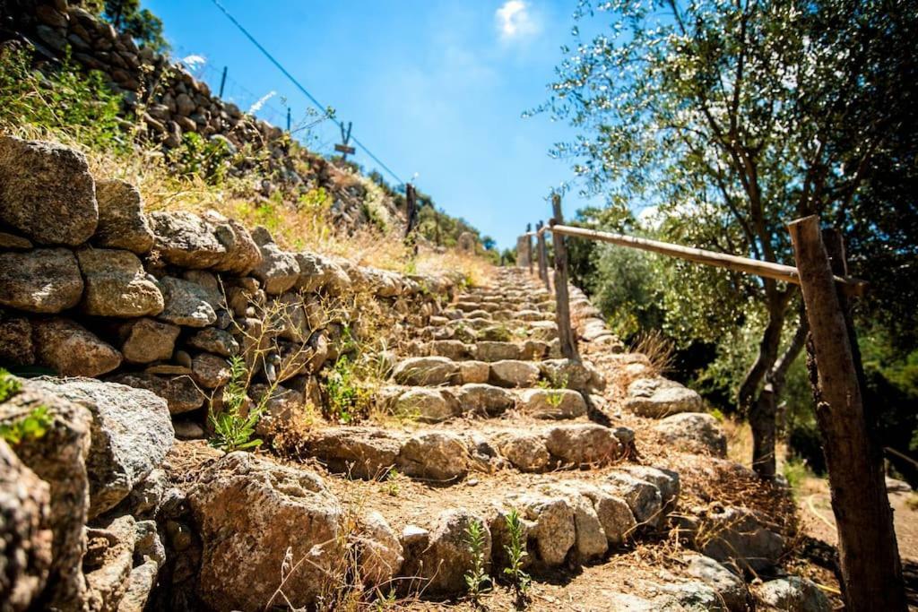 فندق Les Bergeries "Le Figuier" Omessa المظهر الخارجي الصورة