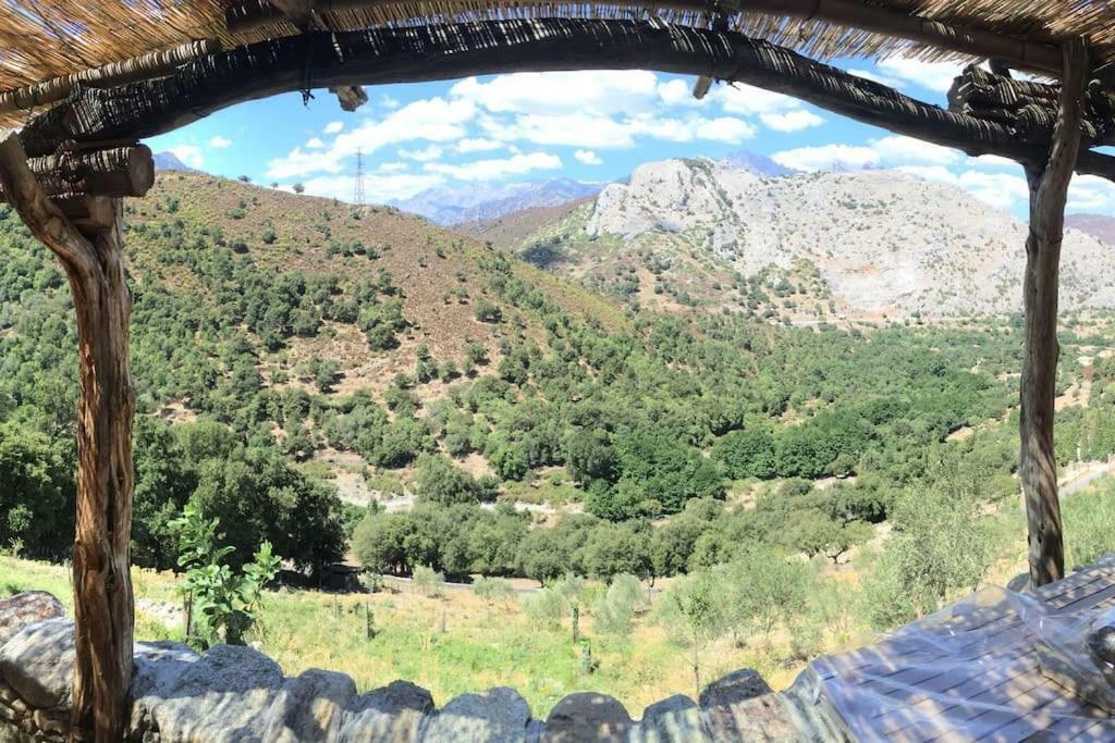 فندق Les Bergeries "Le Figuier" Omessa المظهر الخارجي الصورة