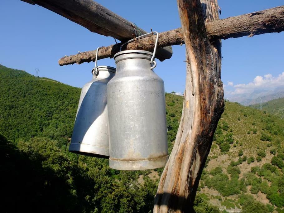 فندق Les Bergeries "Le Figuier" Omessa المظهر الخارجي الصورة