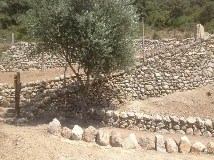 فندق Les Bergeries "Le Figuier" Omessa المظهر الخارجي الصورة