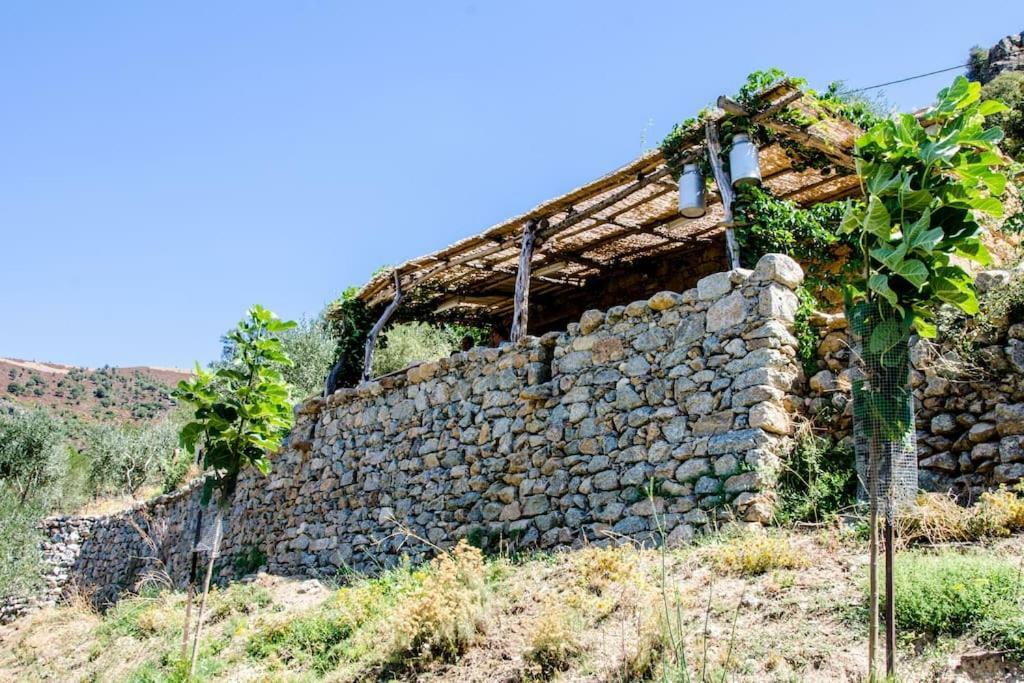 فندق Les Bergeries "Le Figuier" Omessa المظهر الخارجي الصورة
