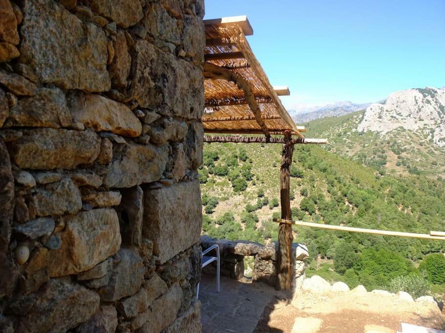 فندق Les Bergeries "Le Figuier" Omessa المظهر الخارجي الصورة