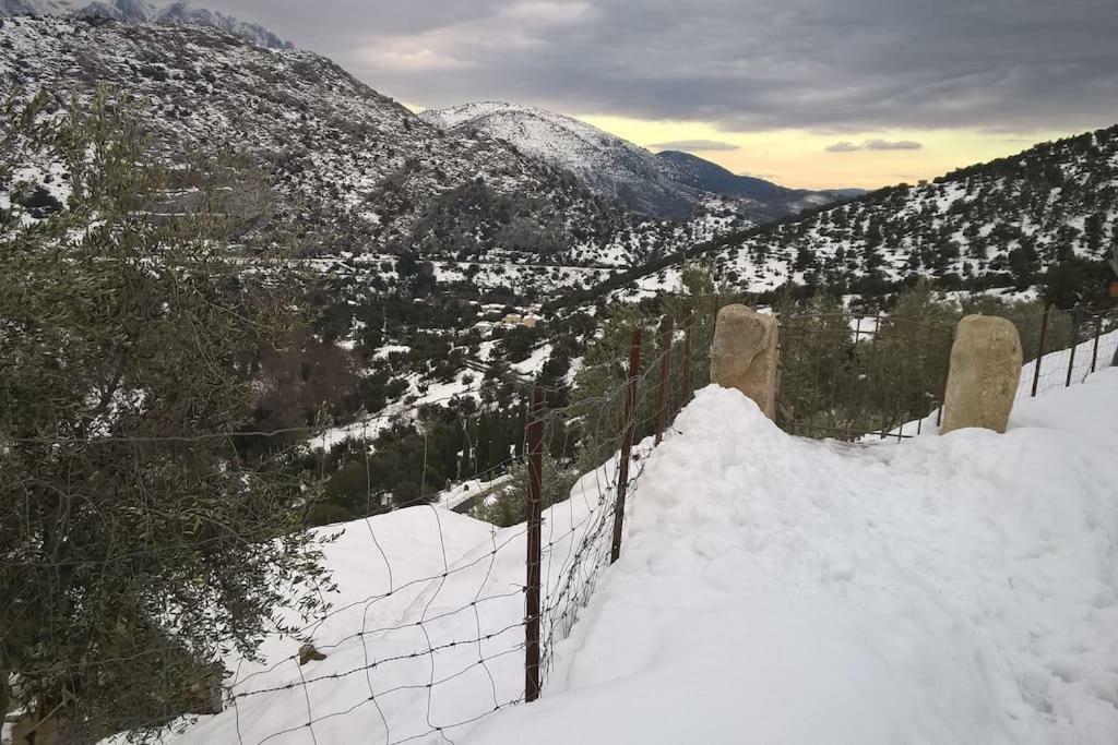 فندق Les Bergeries "Le Figuier" Omessa المظهر الخارجي الصورة
