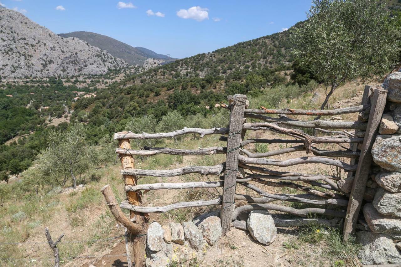 فندق Les Bergeries "Le Figuier" Omessa المظهر الخارجي الصورة