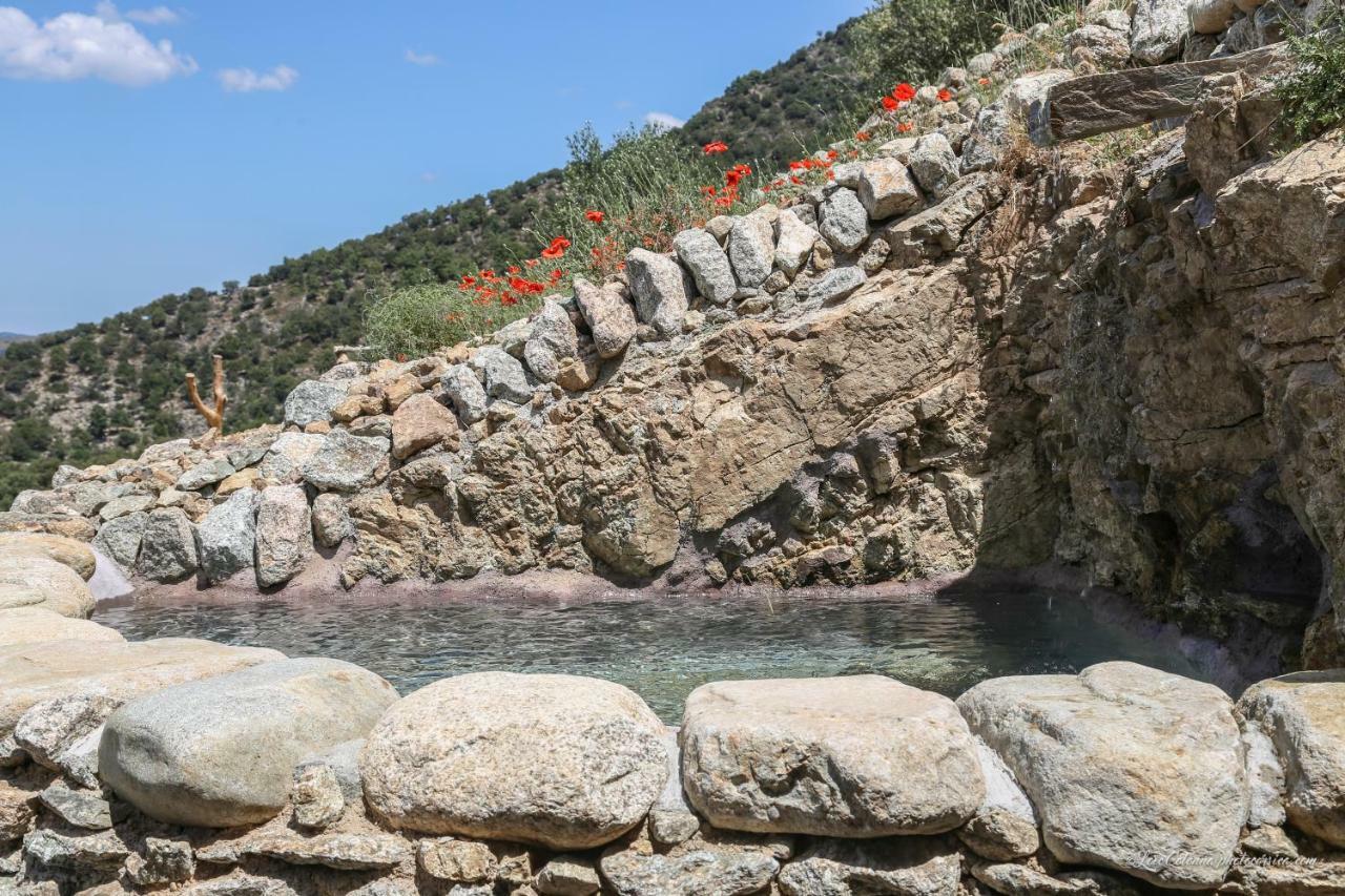 فندق Les Bergeries "Le Figuier" Omessa المظهر الخارجي الصورة
