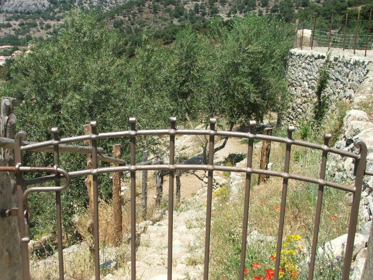 فندق Les Bergeries "Le Figuier" Omessa المظهر الخارجي الصورة