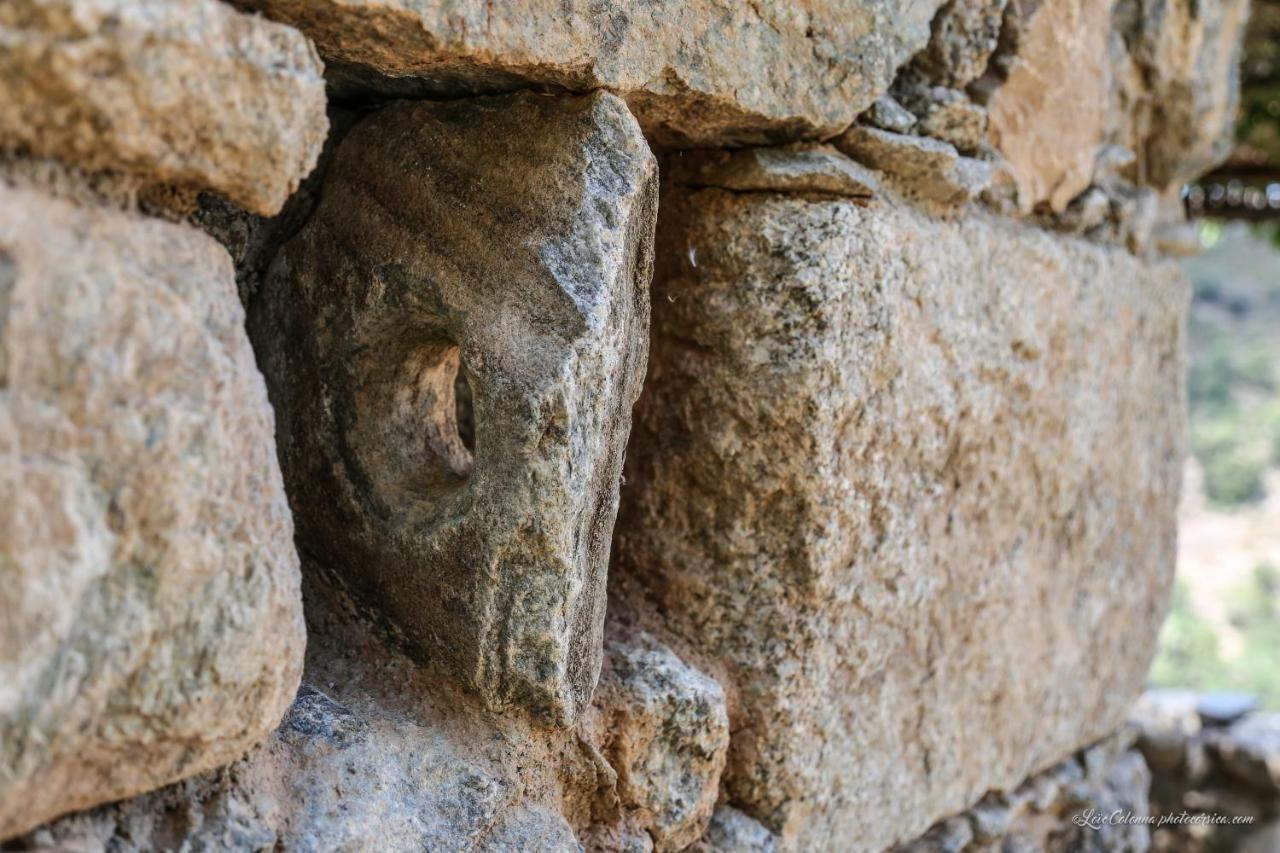 فندق Les Bergeries "Le Figuier" Omessa المظهر الخارجي الصورة