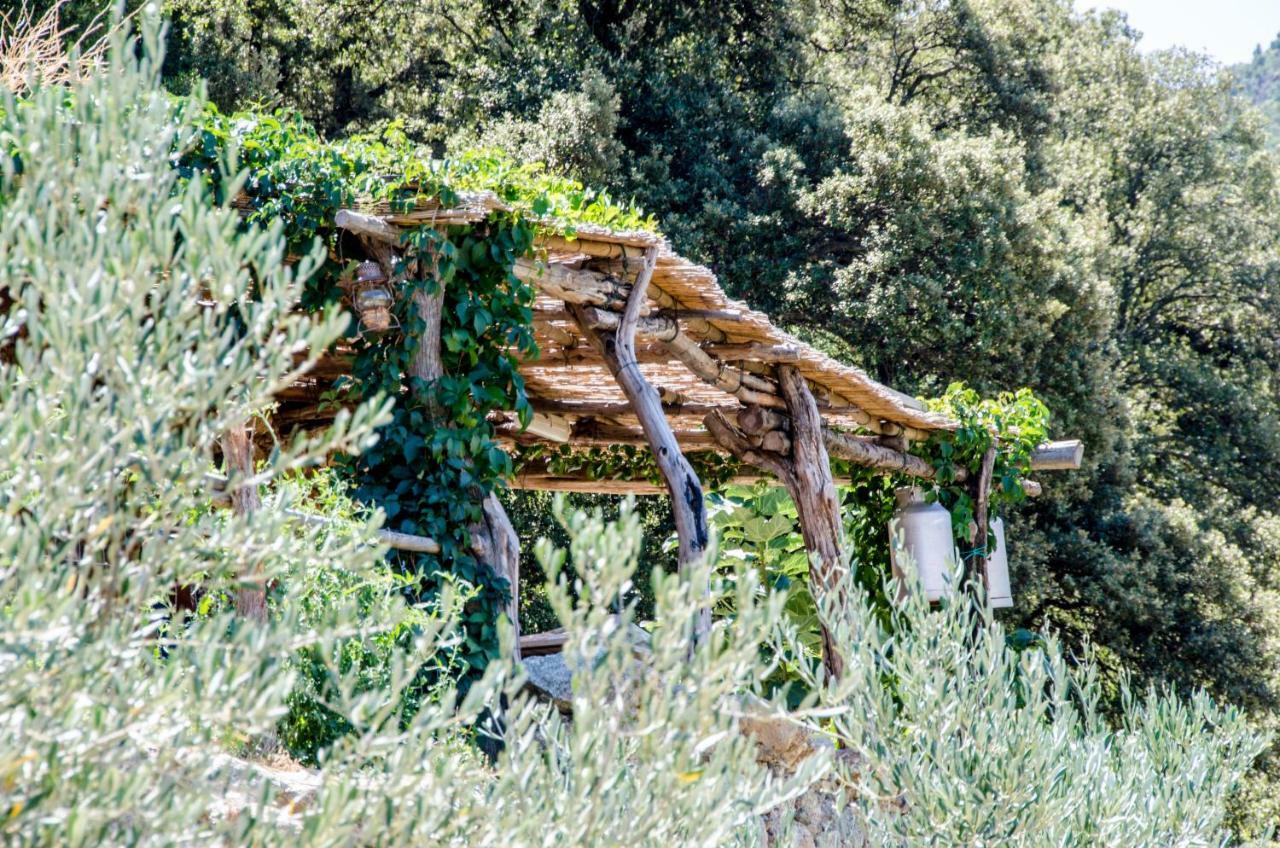فندق Les Bergeries "Le Figuier" Omessa المظهر الخارجي الصورة